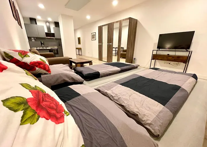 Neu Grosse Einzimmerwohnung Im Zentrum Goldstadt Pforzheim Schloessle